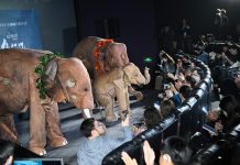 Cina: a Pechino la première del documentario “The Elephant Odyssey” (3)