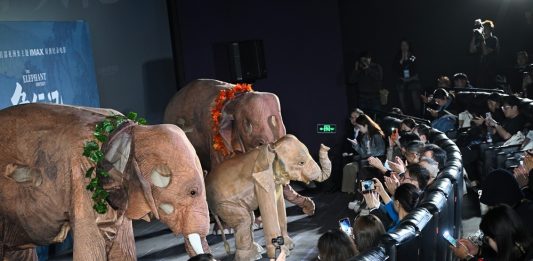 Cina: a Pechino la première del documentario “The Elephant Odyssey” (3)