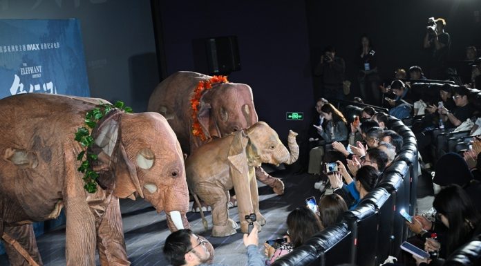 Cina: a Pechino la première del documentario “The Elephant Odyssey” (3)