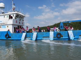 Cina: rilasciati 168.000 avannotti a Ningbo per il ripopolamento ittico (3)