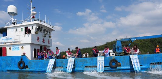 Cina: rilasciati 168.000 avannotti a Ningbo per il ripopolamento ittico (3)