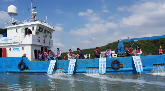 Cina: rilasciati 168.000 avannotti a Ningbo per il ripopolamento ittico (3)