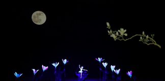 Cina: Shanghai, al via l’International Puppet Art Week (1)
