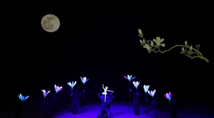 Cina: Shanghai, al via l’International Puppet Art Week (1)