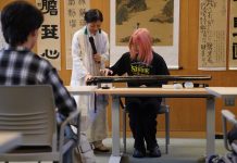 Cina: antichi caratteri e musica guqin portano la cultura cinese a New York (3)