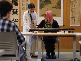 Cina: antichi caratteri e musica guqin portano la cultura cinese a New York (3)