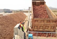 Cina: Lulong, filiera delle patate dolci aumenta i redditi degli agricoltori (3)