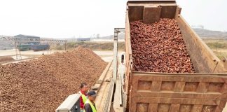 Cina: Lulong, filiera delle patate dolci aumenta i redditi degli agricoltori (3)