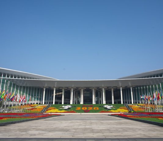 Cina: preparativi nel vivo a Shanghai per la nona edizione della CIIE (2)