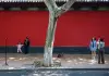 Cina: Hangzhou, turisti visitano museo delle rovine del Palazzo Deshou (3)