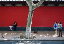 Cina: Hangzhou, turisti visitano museo delle rovine del Palazzo Deshou (3)