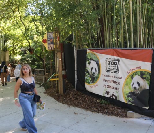 Cina: i panda giganti Ping Ping e Fu Shuang sono arrivati ad Atlanta (2)