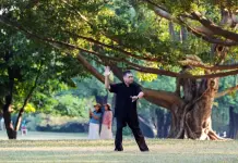 Cina: Nanning, abitanti svolgono attività fisica nel verde del parco Nanhu (3)