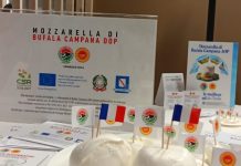 Mozzarella Dop, il Consorzio al Sial di Parigi per rafforzare il primato export in Francia