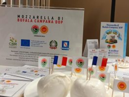 Mozzarella Dop, il Consorzio al Sial di Parigi per rafforzare il primato export in Francia