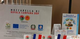 Mozzarella Dop, il Consorzio al Sial di Parigi per rafforzare il primato export in Francia