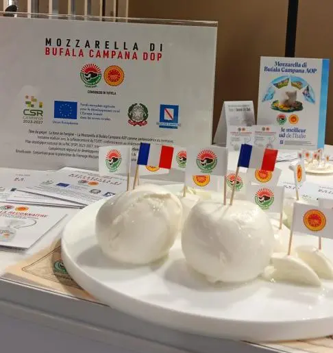 mozzarella dop francia1