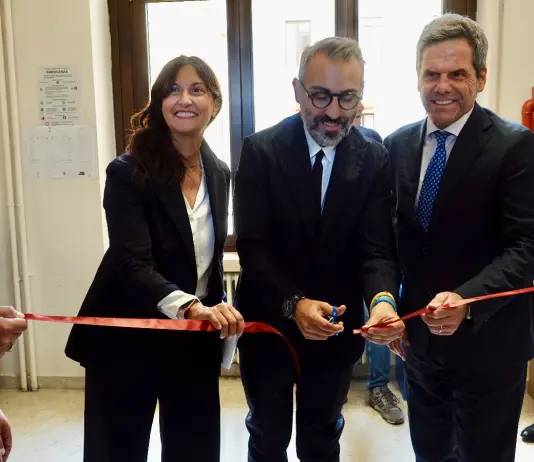 Puglia, 30 milioni di euro per sostenere il ripristino del potenziale produttivo delle aziende agricole colpite dalla Xylella